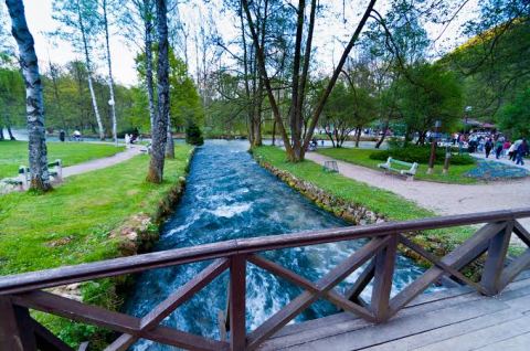 Vrelo Bosne